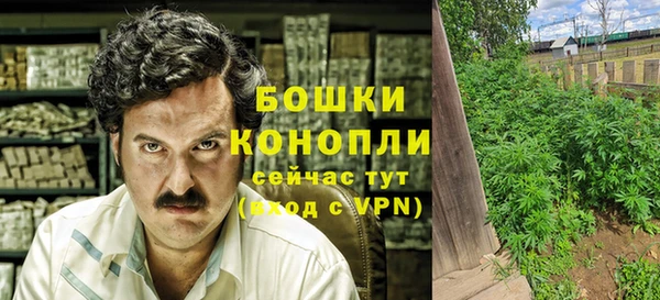 ГАЛЛЮЦИНОГЕННЫЕ ГРИБЫ Абдулино