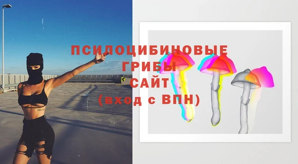 ГАЛЛЮЦИНОГЕННЫЕ ГРИБЫ Абдулино
