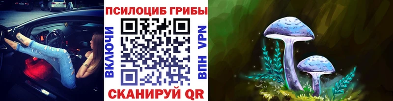 Псилоцибиновые грибы Magic Shrooms  Фурманов 
