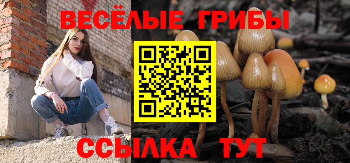 Псилоцибиновые грибы Psilocybine cubensis  Вход с VPN  купить наркоту  Галлюциногенные грибы Psilocybe  Фурманов 
